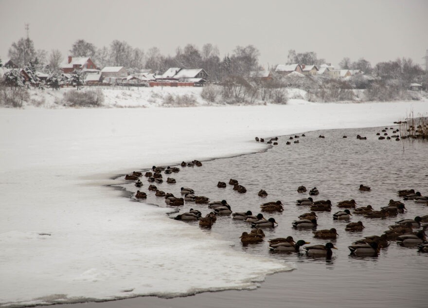 Январские холода в Тверской области продержатся недолго