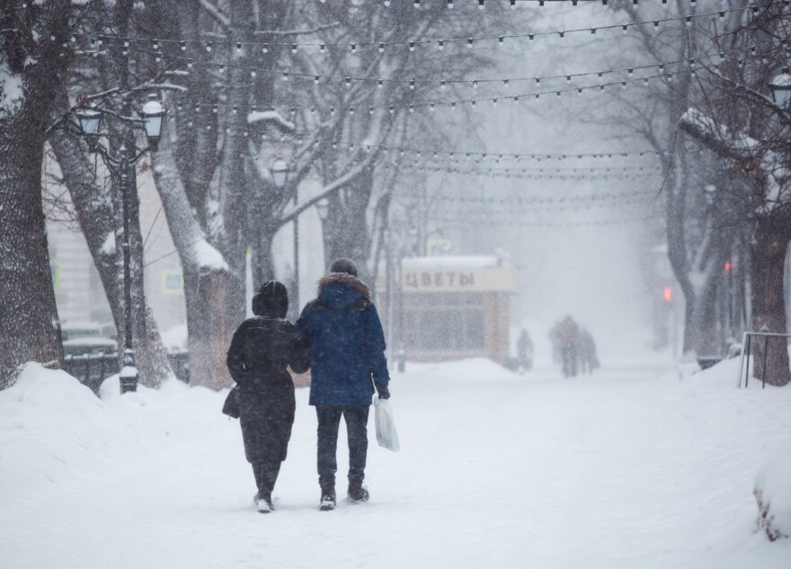 Вечером в Тверской области начнётся сильный снегопад