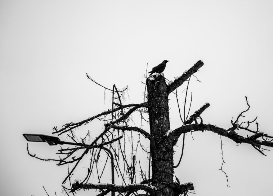 К Тверской области приближается страшная снежная «Ольга»