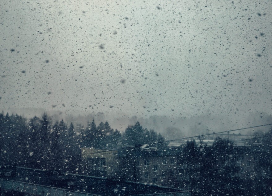 Осадки и туман испортят жителям Тверской области выходные