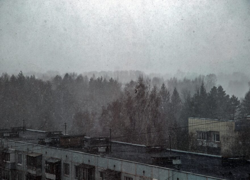 Жителей Тверской области предупредили о сильных снегопадах