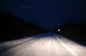 На трассе в Тверской области заметили рысь На трассе в Тверской области заметили рысь