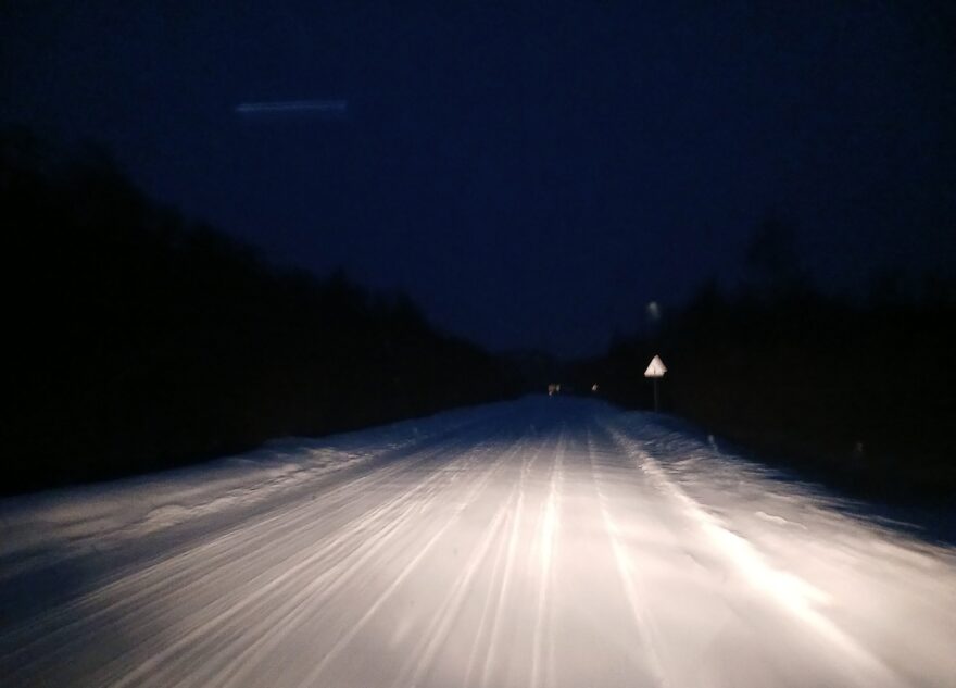 На трассе в Тверской области заметили рысь