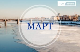 Жилье, вино и острые когти: законы марта, которые изменят жизнь тверитян Жилье, вино и острые когти: законы марта, которые изменят жизнь тверитян