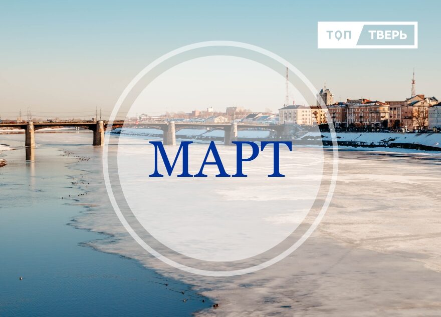 Жилье, вино и острые когти: законы марта, которые изменят жизнь тверитян  