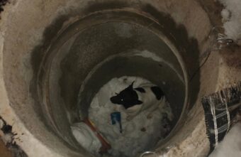 В Твери в открытый колодец провалился пёс В Твери в открытый колодец провалился пёс