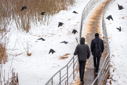 Синоптики рассказали, какой март ожидает Тверскую область