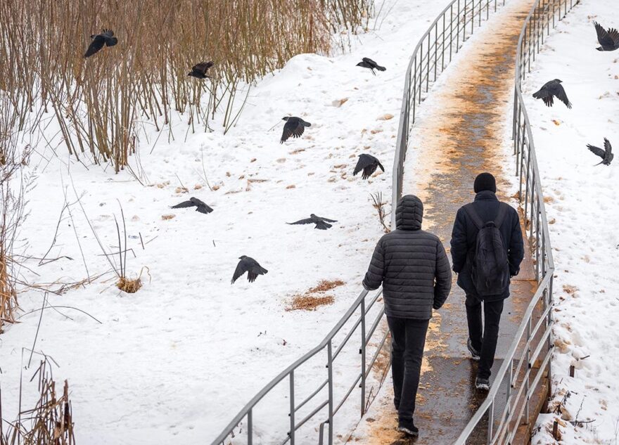 Синоптики рассказали, какой март ожидает Тверскую область