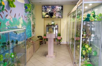 Колледжи и вузы Тверской области участвуют в программе поддержки студенческих инициатив