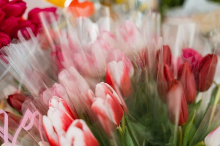 Губернатор поздравил с вековым юбилеем ветерана Марию Ларионову