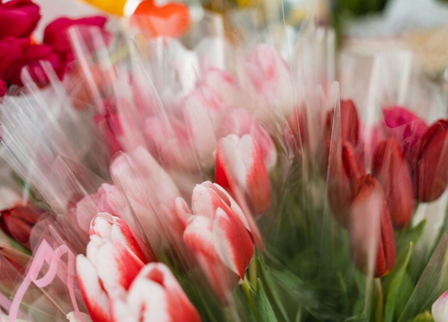 Губернатор поздравил с вековым юбилеем ветерана Марию Ларионову