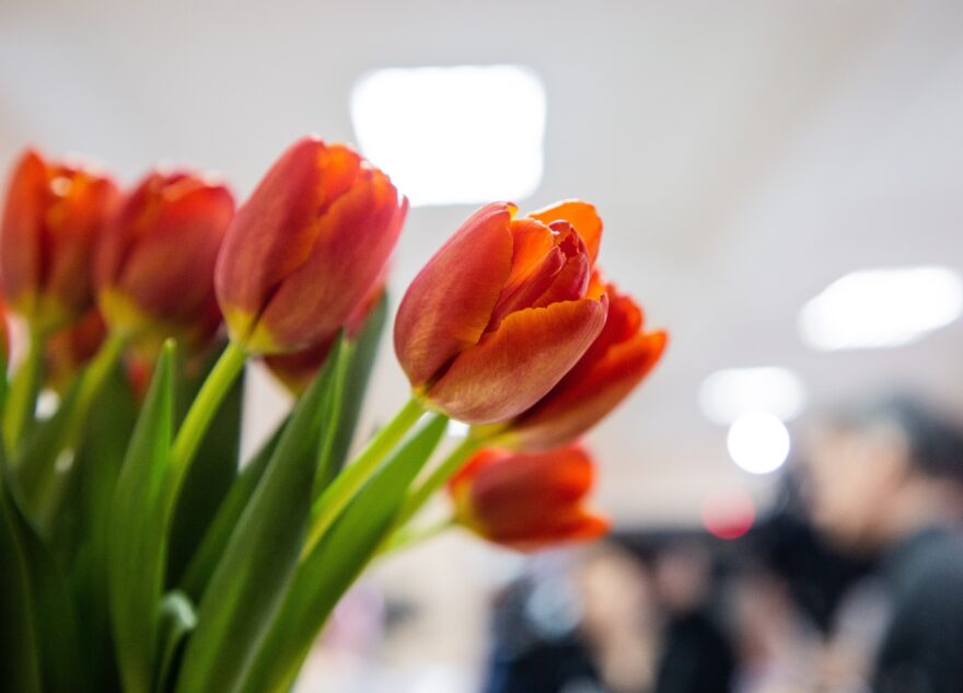 Аналитика ВТБ: на подготовку к 8 Марта женщины планируют потратить до 10 тыс. рублей