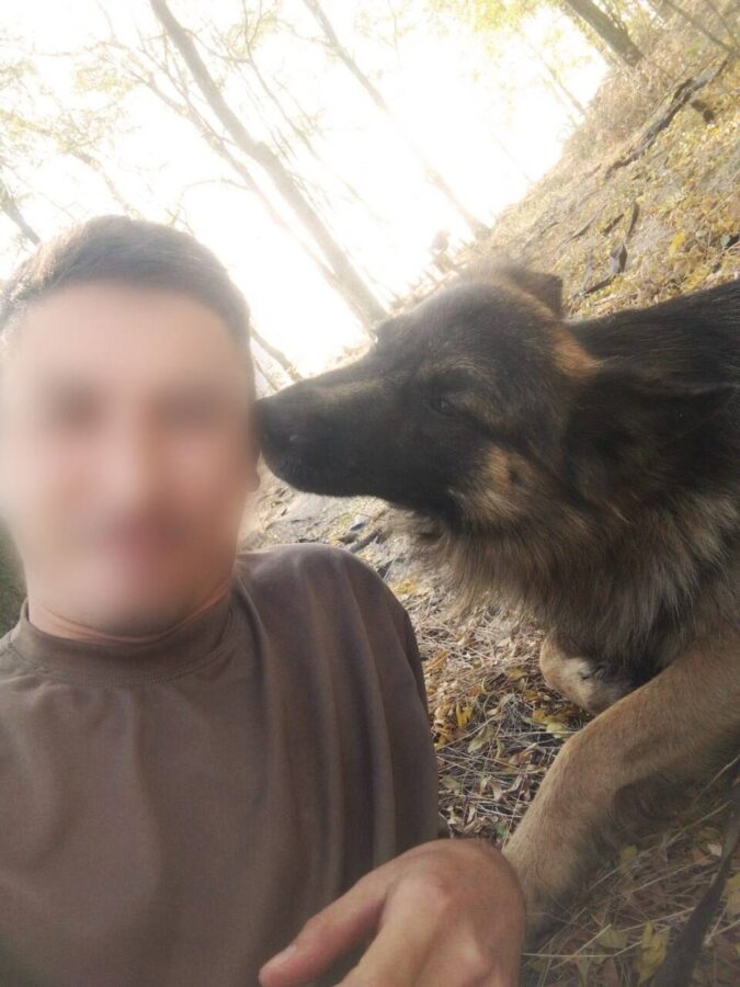 Защищая тверских бойцов от дронов, погиб фронтовой пес Балбес