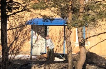 В Тверской области женщина избивала свою собаку на глазах прохожих В Тверской области женщина избивала свою собаку на глазах прохожих