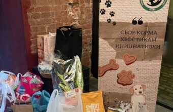 Волонтёр из Твери организовала на своей свадьбе сбор корма для животных