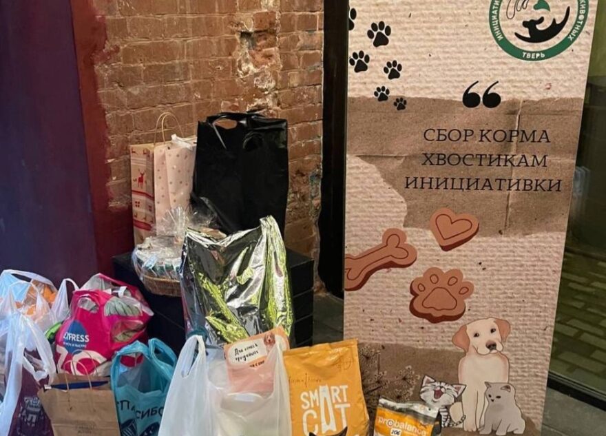 Волонтёр из Твери организовала на своей свадьбе сбор корма для животных