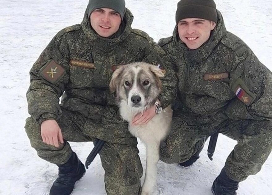 Стала известна история командиров-близнецов, погибших в зоне СВО