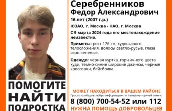 В Тверской области ищут подростка из Москвы В Тверской области ищут подростка из Москвы