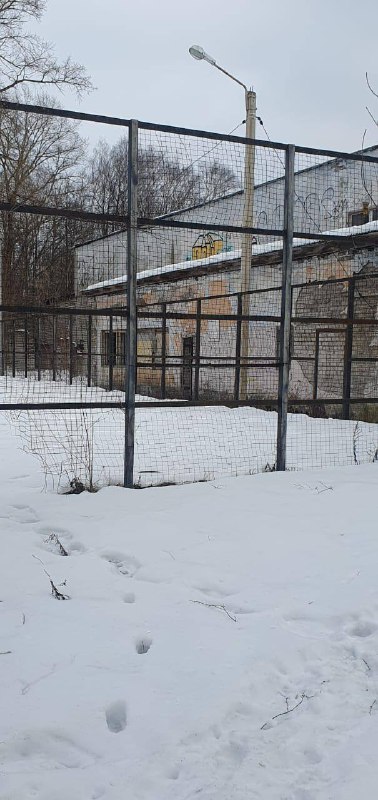 В Тверской области организована проверка после спасения второклассницы с крыши пристройки