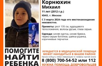 В Тверской области ищут пропавшего в Москве ребенка В Тверской области ищут пропавшего в Москве ребенка