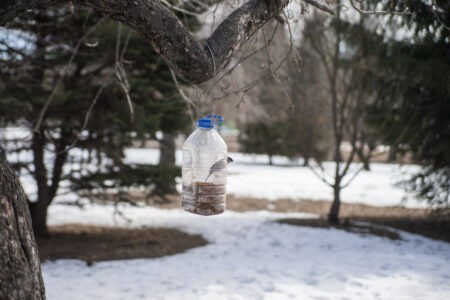 На следующей неделе жителей Тверской области ждёт неожиданное похолодание