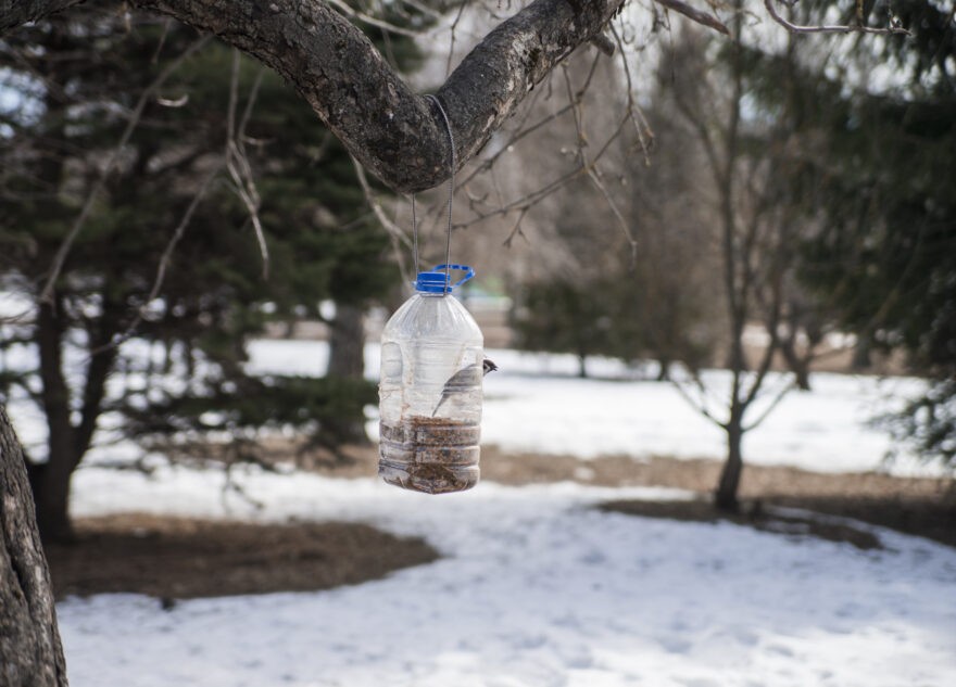 На следующей неделе жителей Тверской области ждёт неожиданное похолодание