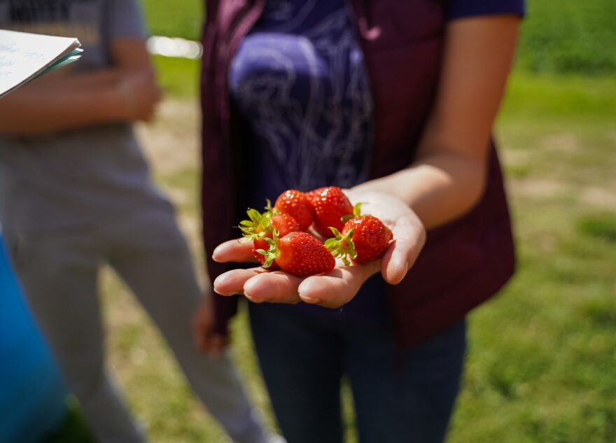 Больше 1200 жителей Тверской области смогут получить поддержку, заключив социальные контракты