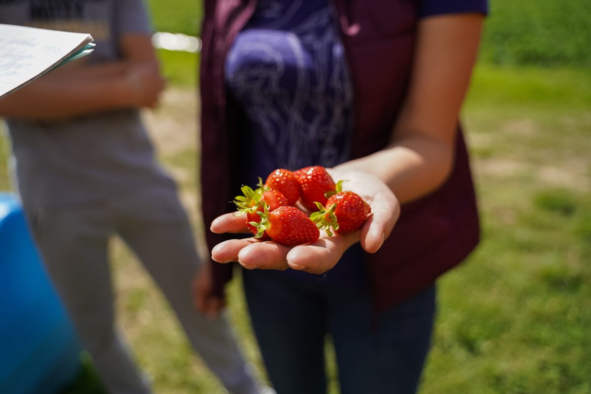 Больше 1200 жителей Тверской области смогут получить поддержку, заключив социальные контракты