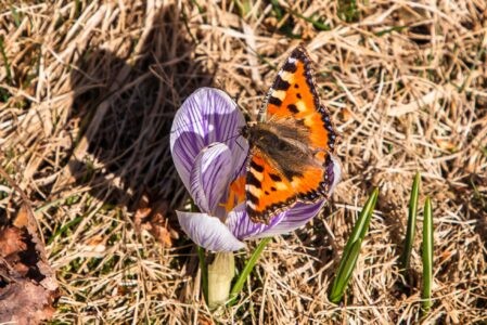 Погода сыграет с жителями Тверской области первоапрельскую шутку