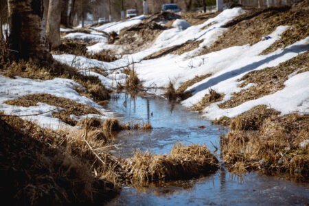 Стало известно, когда в Тверской области растает снег Стало известно, когда в Тверской области растает снег