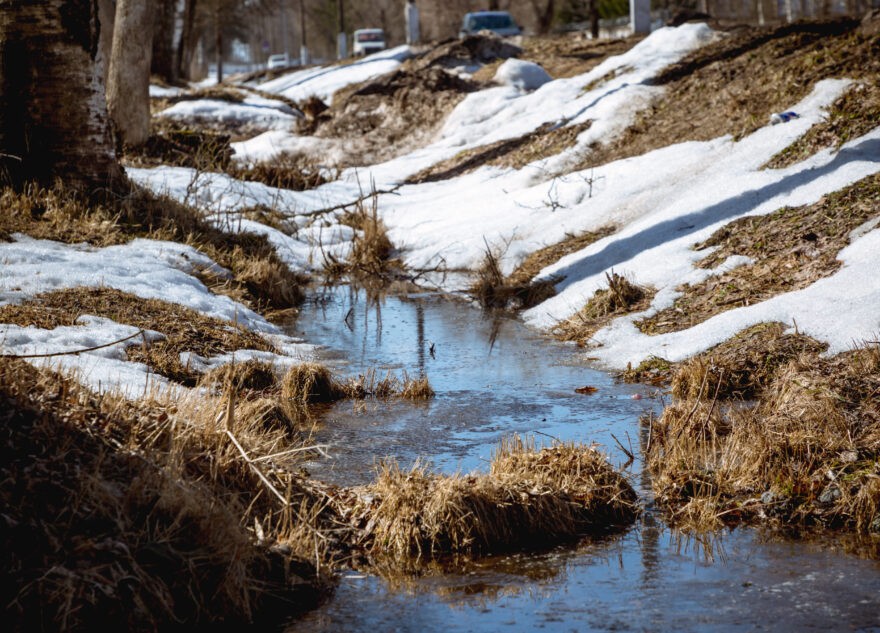 Стало известно, когда в Тверской области растает снег