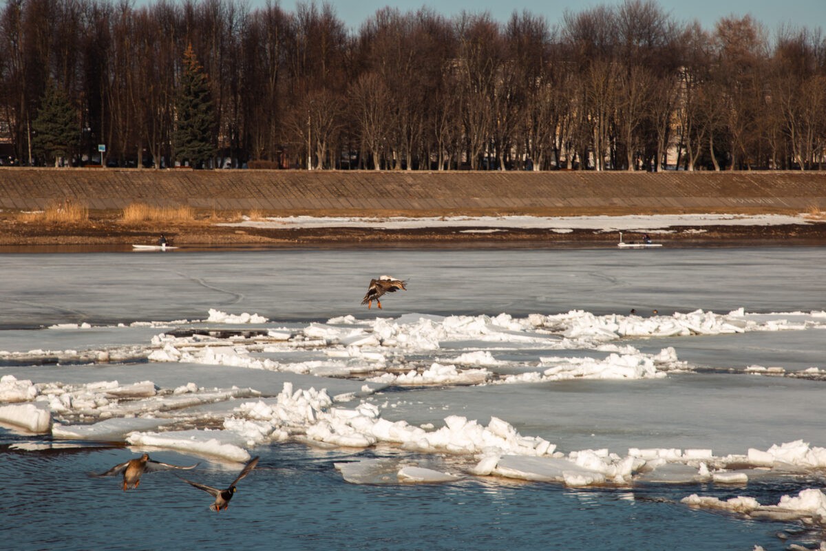 Ночью в Тверской области ощутимо подморозит