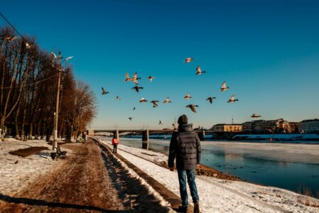 Настоящая весна в Тверскую область придет с большим опозданием Настоящая весна в Тверскую область придет с большим опозданием