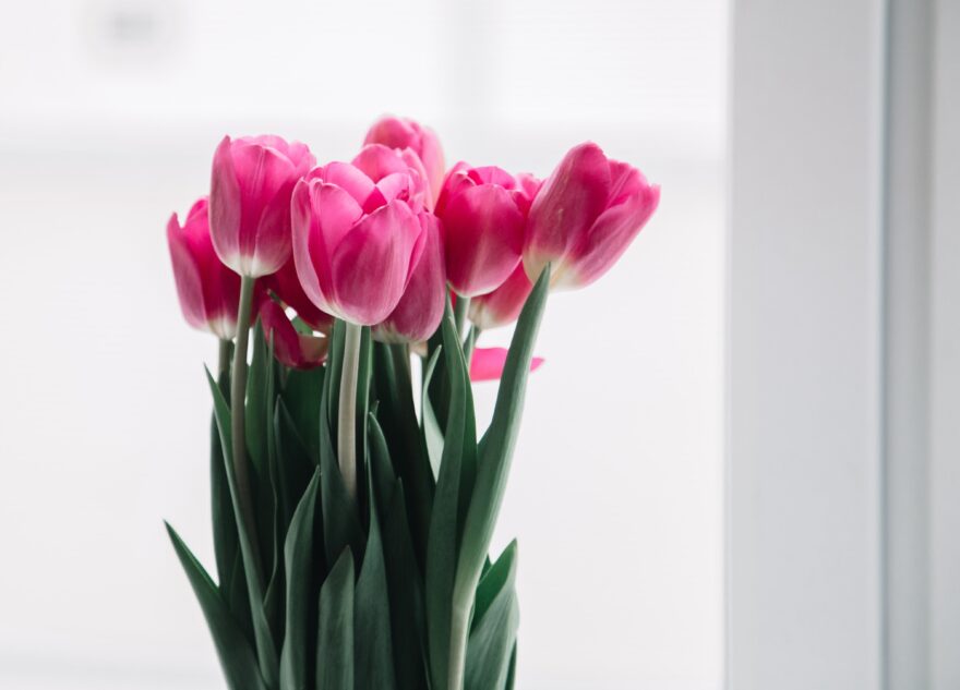 Аналитика ВТБ: спрос на цветы вырос втрое в праздничные дни