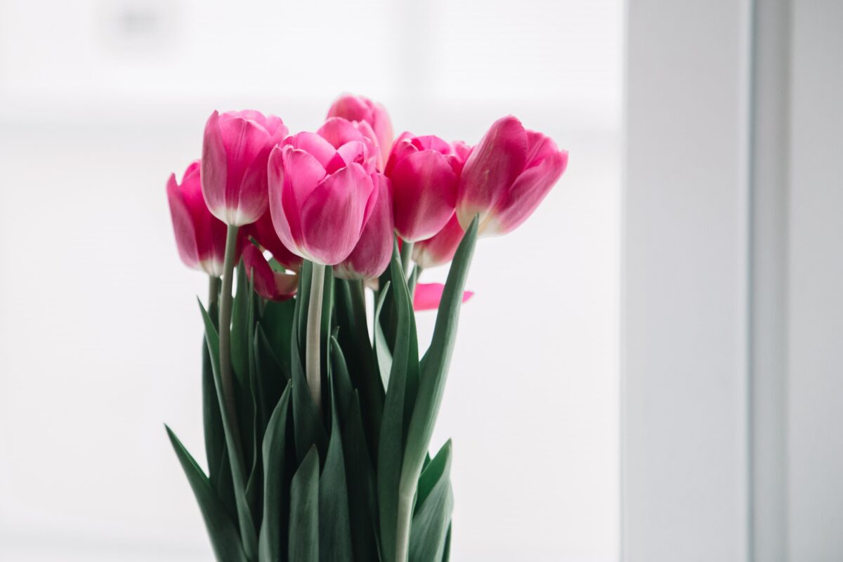 Аналитика ВТБ: спрос на цветы вырос втрое в праздничные дни