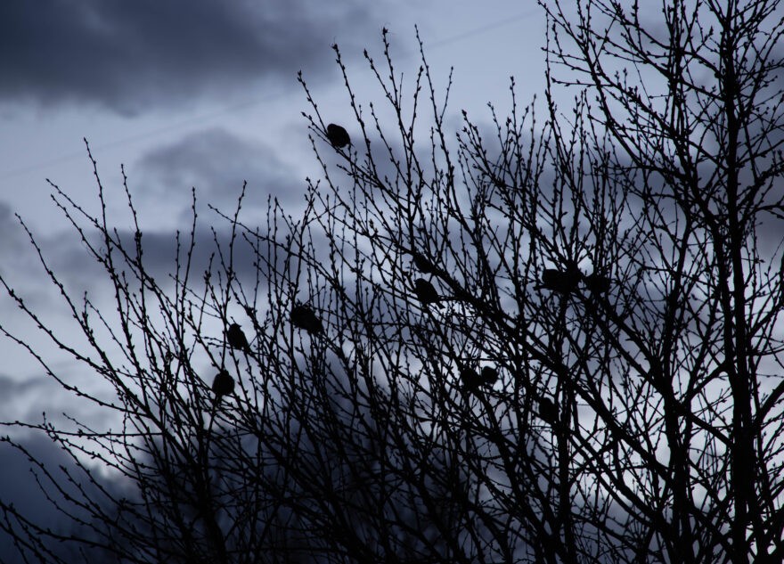 Погода в Тверской области удивит ранней грозой