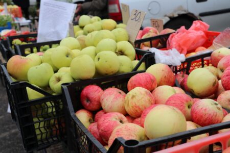 Избежать Альцгеймера и раннего старения помогут продукты с флавоноидами Избежать Альцгеймера и раннего старения помогут продукты с флавоноидами