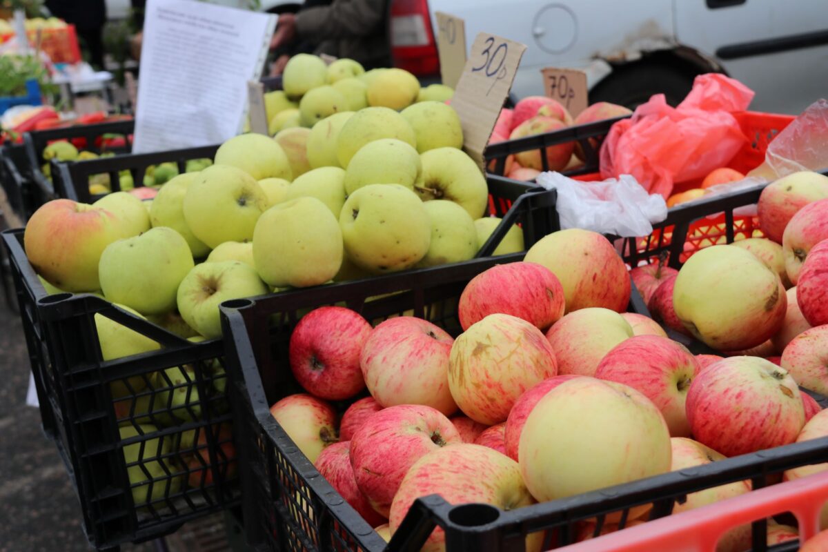 Избежать Альцгеймера и раннего старения помогут продукты с флавоноидами  