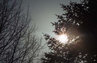 Синоптики рассказали о резком мартовском потеплении в Тверской области Синоптики рассказали о резком мартовском потеплении в Тверской области