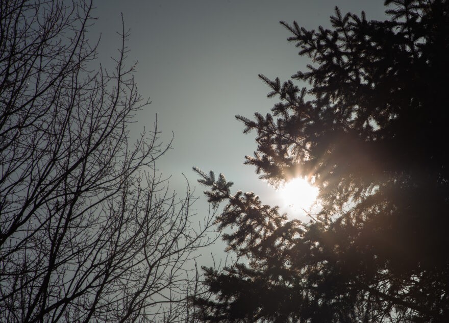 Синоптики рассказали о резком мартовском потеплении в Тверской области