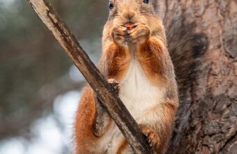 Погода отправит жителей Тверской области обратно в зиму 