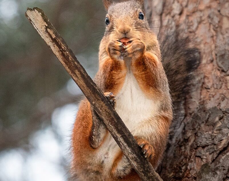 Погода отправит жителей Тверской области обратно в зиму 