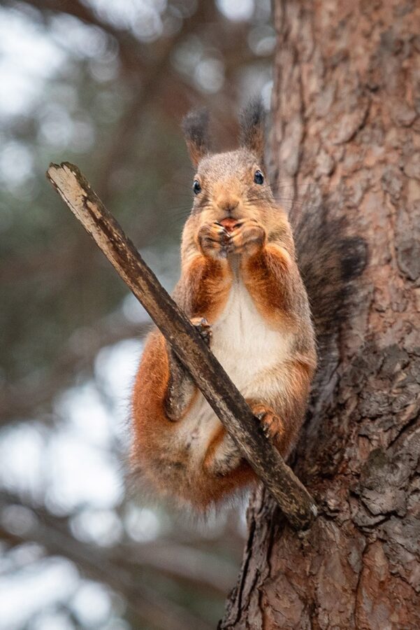Погода отправит жителей Тверской области обратно в зиму 