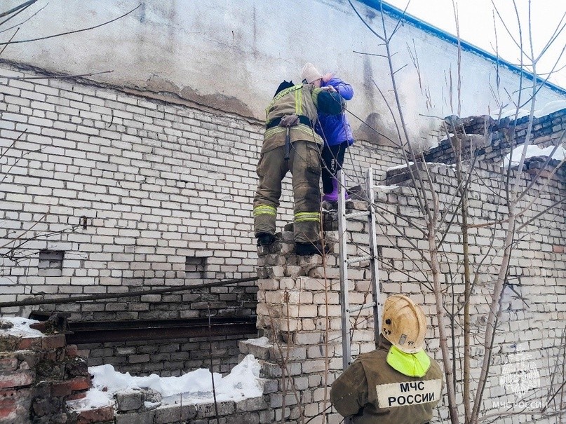 В Тверской области организована проверка после спасения второклассницы с крыши пристройки