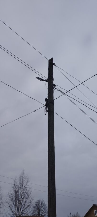 В Тверской области с опоры линии электропередач сняли застрявшую кошку