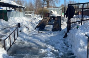 Двое мужчин с лопатами сделали эстакаду в Тверской области