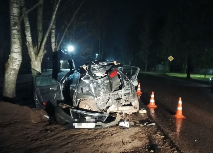 В Тверской области пострадали пассажиры иномарки, которая врезалась в дерево