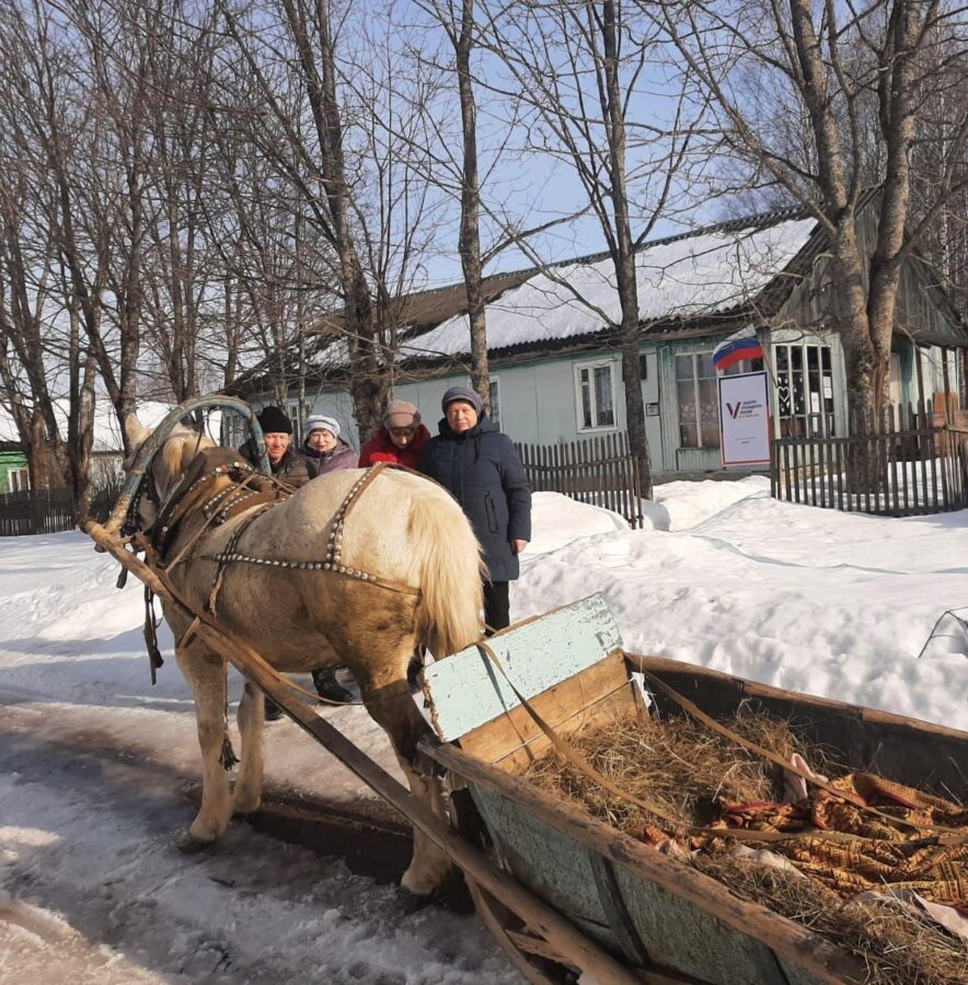 Жители Тверской области приехали на выборы президента России на санях | ТОП  Тверь новости