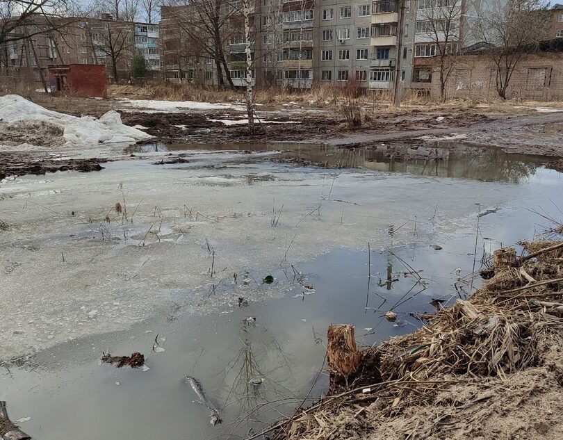 Жители Тверской области пожаловались на болото вместо тротуара