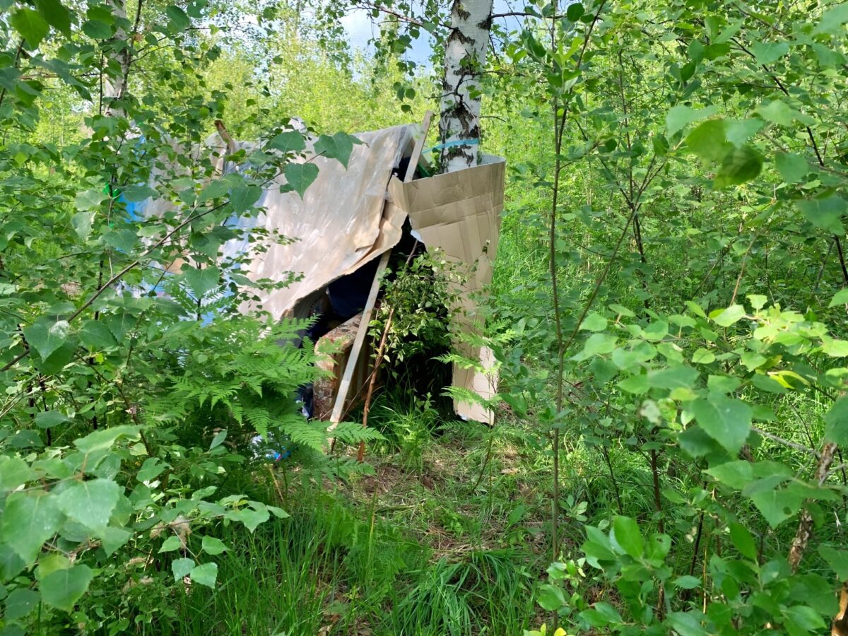 В Твери вынесли приговор убийце, задушившему женщину в шалаше